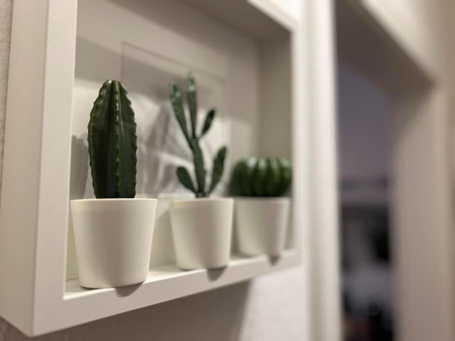 Stadtoase Design Wohnung In Der Altstadt Von Koblenz Koblenz  Bagian luar foto
